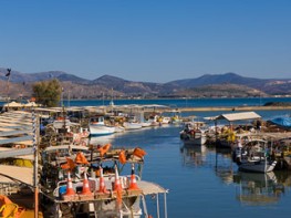 hotelsargos.gr-enosi ksenodoxwn argous-nea kios argos