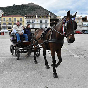 hotelsargos.gr-argos diomideia